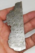 Prachtige meteoriet uit Aletai. Zonder minimumprijs!!! IJzer, Verzamelen