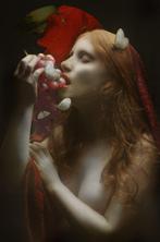 Mariska Karto - Dreamfood