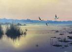 Luc Meyfroid (XX) - Waterplas met opvliegende eenden, Antiek en Kunst, Kunst | Schilderijen | Klassiek