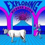 LP gebruikt - Exploding Rubber Band - Exploding Rubber Ba..., Verzenden, Zo goed als nieuw