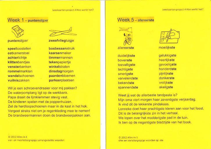 Alles-in-1 Leeskaarten Project 4 Hoe werkt het?, Boeken, Schoolboeken, Nieuw, Verzenden