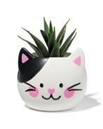 HEMA Plantenpot 9.3x9.3x8.3cm keramiek kat, Huis en Inrichting, Verzenden
