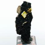 Wulfeniet op Mottramiet - 79 mijn, Gila, Arizona, Verenigde, Verzamelen