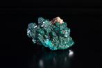 EXCEPTIONELE Dioptase uit Congo – 206,0 karaat Geen
