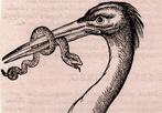 Conrad Gesner (1516-1565) - Avium Natura : The White Storck, Antiek en Kunst, Antiek | Overige Antiek