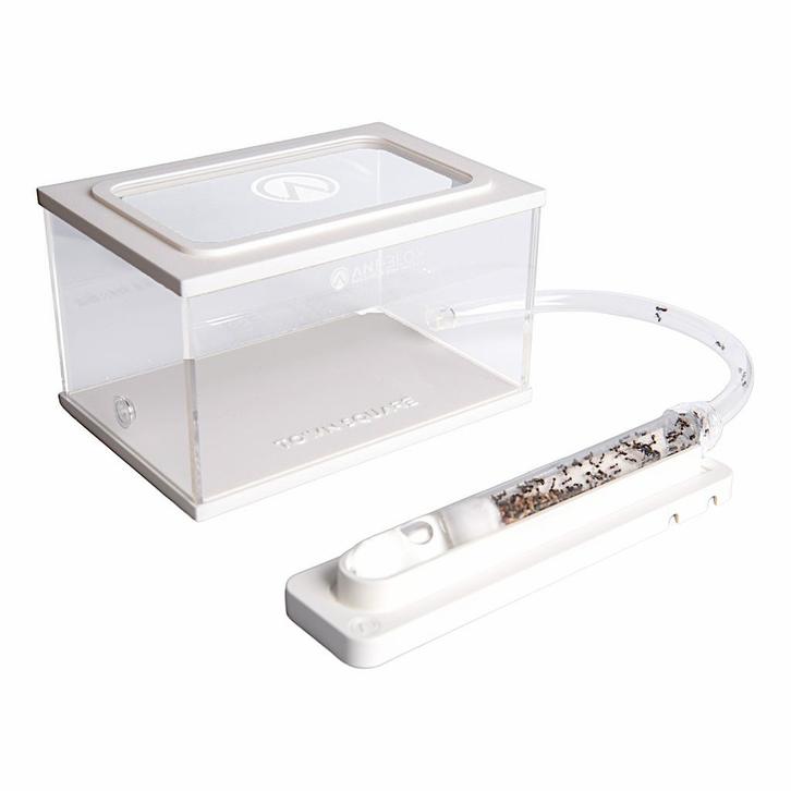 Mierenboerderij startset, kweek je eigen mierenkolonie, Dieren en Toebehoren, Insecten en Spinnen