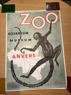R. Landois - Fr. De Smet & Fils - Zoo Aquarium Museum Anvers, Antiek en Kunst