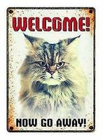 WAAKBORD BLIK GRUMPY CAT 21X15 CM, Dieren en Toebehoren, Katten-accessoires, Nieuw, Ophalen of Verzenden