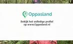 Linda zoekt een oppas in Driebergen-Rijsenburg voor 2 kin...