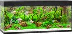 Rio 240 LED Zwart, Ophalen of Verzenden, Nieuw