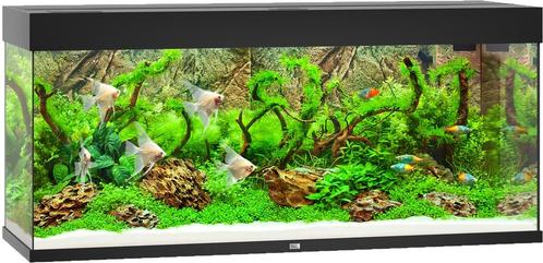 Rio 240 LED Zwart, Dieren en Toebehoren, Vissen | Aquaria en Toebehoren, Nieuw, Ophalen of Verzenden