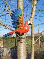 Papegaai - Beeldje - Parrot - Metaal, IJzer