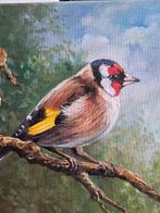 Tomasz Bednarski (1965) - Goldfinch