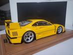 Tecnomodel 1:18 - Model sportwagen - Ferrari F40 LM 1996, Nieuw