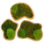 Eiken Mos Eilanden - Set van 3, Nieuw