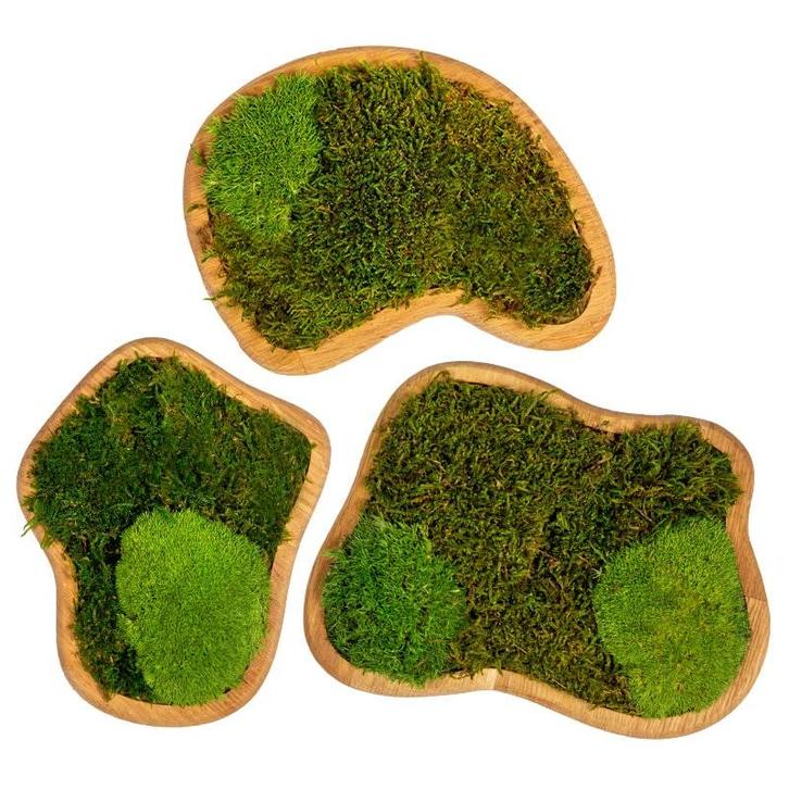 Eiken Mos Eilanden - Set van 3, Huis en Inrichting, Woonaccessoires | Lijsten