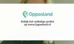 Lisa zoekt een oppas in Drachten voor 2 kinderen op dinsd..., Nieuw