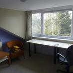 Gemeubileerde studentenkamer aan Korenbloemweg gevonden in H, Huizen en Kamers, Minder dan 20 m², Overige regio's