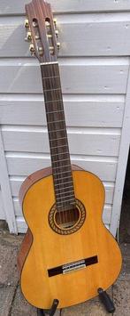Estudio - - Akoestische gitaar (Zonder Minimumprijs), Nieuw