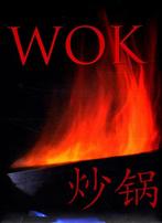 WOK 9781407539331 Jolanda te Lindert, Verzenden, Gelezen, Jolanda te Lindert