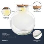 Terrarium fles (met) verlichting - Teddy - Ø 25 cm  26,5 cm, Verzenden