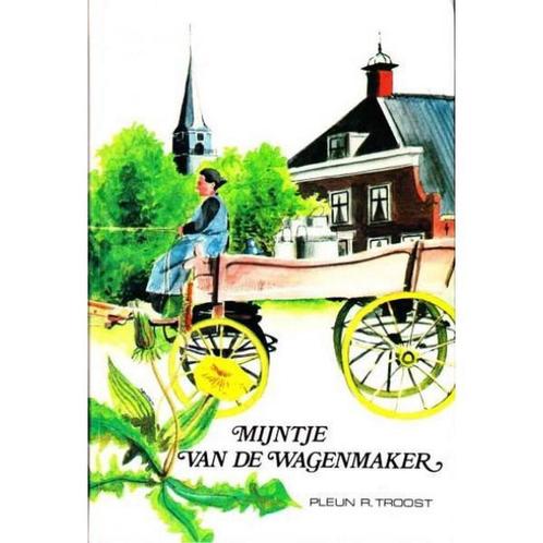 Mijntje van de wagenmaker 9789033103155 Troost, Boeken, Streekboeken en Streekromans, Gelezen, Verzenden
