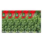 Boerenkool zaad | VT | 5 stuks, Verzenden