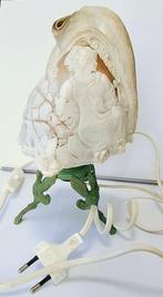 Lamp - Schelp