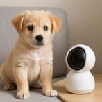 Houdt je Pup / Hond in de Gaten als je Weggaat - Camera, Dieren en Toebehoren, Honden | Teckels en Dashonden, 8 tot 15 weken, Eén hond