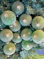 Esse Italia:groene matte kestbal met gouden glitter en klein, Nieuw