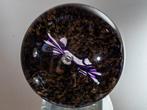 Caithness Paperweight Studios - Presse-papier - Jester, Antiek en Kunst, Antiek | Glas en Kristal