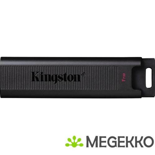 Kingston DataTraveler MAX 1TB, Computers en Software, RAM geheugen, Nieuw, Verzenden