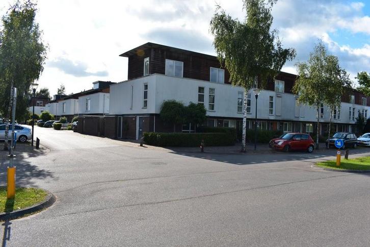 Te huur: Huis Zandtong in Eindhoven, Huizen en Kamers, Huizen te huur, Noord-Brabant