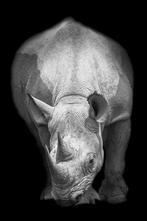 Marco Simoni - 13000 grams, Antiek en Kunst