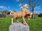Beeld, XL Carved Wood Bull 42cm - 31 cm - Hout, Antiek en Kunst, Kunst | Designobjecten