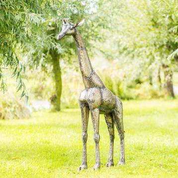 Beeld van een metalen giraf van 180 cm beschikbaar voor biedingen