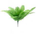 Varen Boston Fern Bush Groen Botanical Style 53 cm, Huis en Inrichting, Ophalen of Verzenden, Nieuw