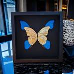 Zeldzame 23kt gouden morpho-vlinders in beperkte oplage, Verzamelen, Nieuw