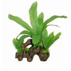 SF Easy Plants Hout Met Echinodorus 22cm (SF  kunstplanten)