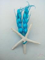 MaatwerkCorsage Zeester Aqua Gerst+magneet Maatwerk corsage, Ophalen of Verzenden, Nieuw