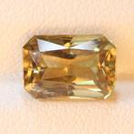 Zonder minimumprijs - 1 pcs Geel, Groen, Roze, Oranje, Nieuw