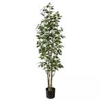 Ficus Benjamina 165 cm kunstplant - Buitengewoon de Boet, Huis en Inrichting, Nieuw, Verzenden