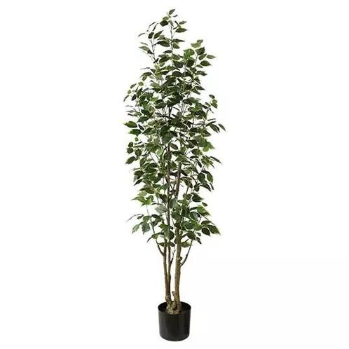 Ficus Benjamina 165 cm kunstplant, Huis en Inrichting, Woonaccessoires | Kunstplanten en Kunstbloemen, Nieuw, Verzenden