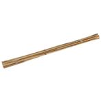 Talen Tools Bamboestokken 60 cm - Ondersteun Uw Planten N..., Tuin en Terras, Kweekspullen, Ophalen of Verzenden, Nieuw