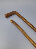 Wandelstok (2) - Hazelwood