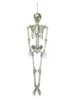 Halloween-skelet, 150 Cm, Kinderen en Baby's, Nieuw, Overige typen, Verzenden