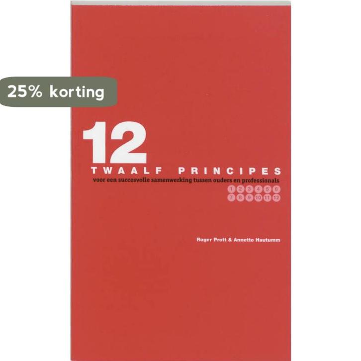 TWAALF PRINCIPES 9789066656178 R. Prott, Boeken, Politiek en Maatschappij, Gelezen, Verzenden