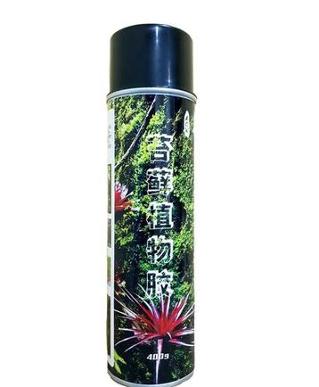Osaka Moss Glue Spray (bonsai bomen, Bonsai tree)