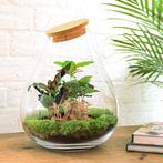 DIY terrarium - Drop XL Rood -  37 cm, Verzenden