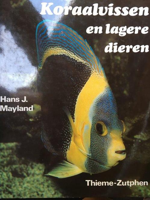 Koraalvissen en lagere dieren 9789003970855 Mayland, Boeken, Overige Boeken, Gelezen, Verzenden